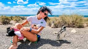 From Puerto Madryn: Punta Tombo Day Trip with Hotel Transfer