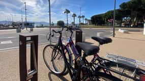 Bike rental: Port of Cagliari, Su Siccu, Nervi Park, Molentargius