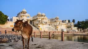 From Delhi: Full Day Jaipur City Guided Tour with Lunch