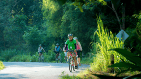 Chiang Mai Countryside E-bike Ride with Expert Guide & Lunch