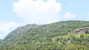 Private Full day Nandi Hill Excursion with Lunch