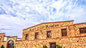 "Oro Bailén Visita a la Arboleda de Oro Bailén + Molino + Degustación