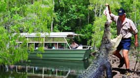 Desde Port Douglas Parque de Cocodrilos de Hartley, Skyrail y Tren