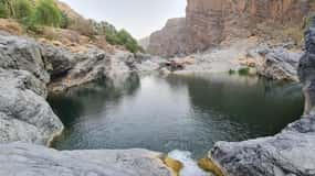 Da Muscat: Avventura a Wadi Al Arbieen, Sinkhole, Spiaggia delle Pinne