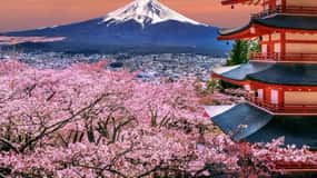 From Tokyo: Mount Fuji One Day Private Customized Tour