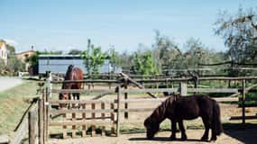 Grosseto: visita alla fattoria di famiglia con degustazione di cibi locali
