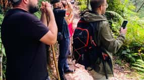 From Kigali: 2 days chimpanzee trekking and canopy walk