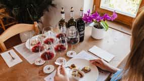 Montalcino: Guidad tur på vingårdar och provsmakning av gourmetmat