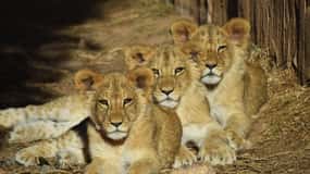 Murcia: Toegangsticket Terra Natura Murcia