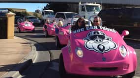 Las Vegas Strip Tour & Matupplevelse