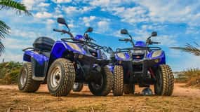 Μαρακές: Έρημος Agafay, γουρούνα, καμήλες, δείπνο και παράσταση.