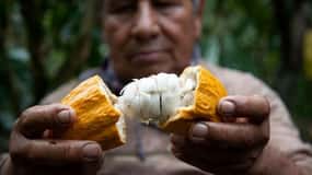 Anti-Tour in Minca: Agriculture, Traditions, and Local Life
