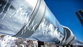 Fairbanks Heritage Sightseeing Tour