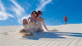 Pinnacles, Koalas & Sandboarding Tour Day Trip from Perth