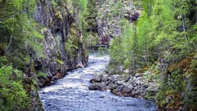 Rovaniemi: Visita ao desfiladeiro de Korouoma e às cataratas de Auttiköngäs