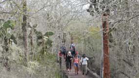 Tour di 4 giorni delle Galapagos