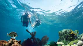 Key West: Reef Snorkeling with Drinks and Sunset Option