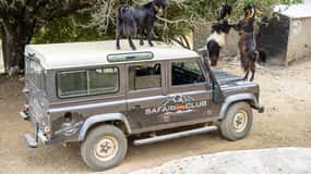 Crete: Land Rover Safari on Minoan Route