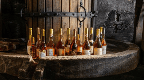 Tokaj Private Tour With Local Lunch From Budapest