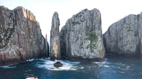Excursion d'une journée dans la péninsule de Tasman avec croisière et diables au départ de Hobart