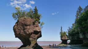 Hopewell Cape: ingresso para Hopewell Rocks