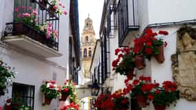 Desde Sevilla: Traslado Privado a Granada y Tour por Córdoba