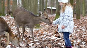 Tripsdrill Wildlife Park: Admission Ticket