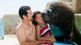 Puerto Plata Ocean World Tickets