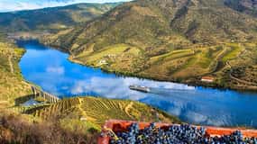 Privétour: Wijn en eten uit de Dourovallei vanuit Porto
