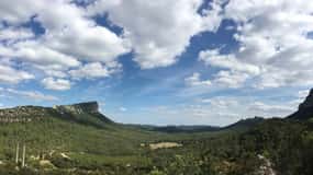 Pic Saint-Loup: Tour de un día completo del vino y la aceituna