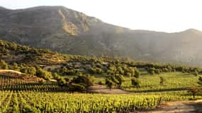 From Santiago: Maipo Valley Wine Tour