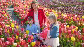 Amsterdam: Tulip Wonderland Tour