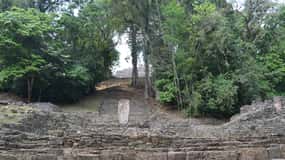 Ruinas de Yaxchilán y Bonampak y Selva Lacandona desde Palenque