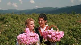 Ab Sofia: Tagesausflug ins Tal der Rosen