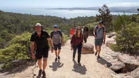 Au départ de Launceston : Visite d'une jounée à Wineglass Bay Explorer Active Tour