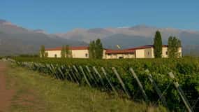 Passeio em Valle de Uco