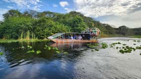 Miami : Airboat des Everglades, rencontre avec les alligators et transfert en bus