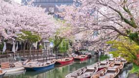 Fukuoka:Takeo,Yanagawa Boat,Dazaifu Tenmangu Shrine Day Trip