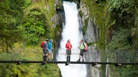 Milford Track: Full Day Guided Hike and Nature Cruise