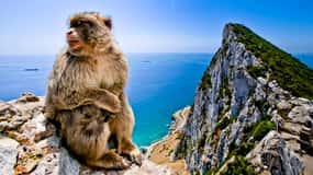 From Cádiz: Private Day Trip to Gibraltar & Vejer Tour