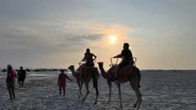 Salalah: Camel Riding on the Beach with Hotel Pick and Drop