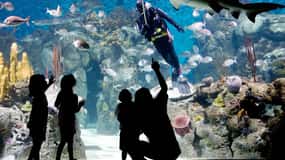 From Buenos Aires: Full-Day Temaiken Eco Park