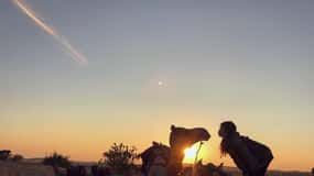 Jaislamer Sightseeing with Camel Safari & Sunset Desert Tour