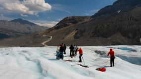 Calgary: Crowfoot, Bow-Peyto Lake, Marble Canyon Day Trip