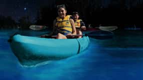 Titusville: Bioluminescent Kayaking Tour