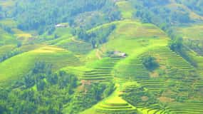 From Sapa: Waterfalls, Trekking and Tribal Villages Tour