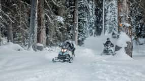 From Jackson: Yellowstone Grand Canyon Snowmobile Tour