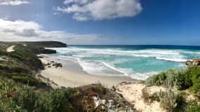 Penneshaw: Shore Excursion Kangaroo Island Scenic Tour
