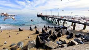 Santiago: Recorrido a pie por Valparaíso y cata de vinos en Casablanca
