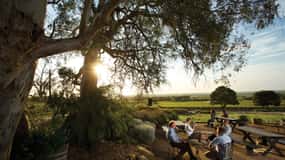 Adelaide: Barossa Valley Hop-on Hop-off Tour